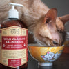 CBD for pets