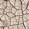 dryness