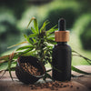 Choose the right CBD