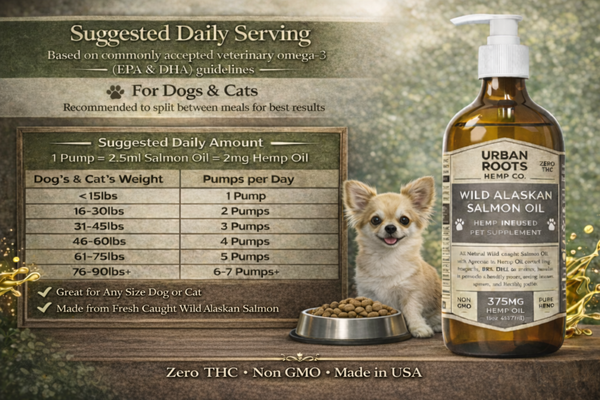 Wild Alaskan Salmon Oil + Hemp — (375mg CBD)